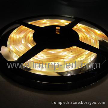 2013 NEW product  waterproof 12v /24v smd led flex strip light
